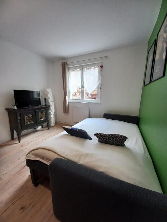 Le Passage Gite Cocooning A Colmar Centre Touristique 외부 사진